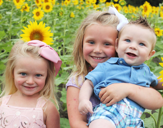 Sunflower Love