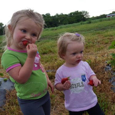 Strawberry Fields Forever