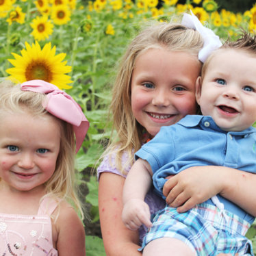 Sunflower Love